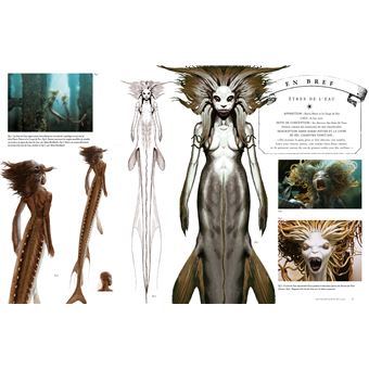 La collection Harry Potter au cinéma, vol.1 : Les Créatures de la forêt, du lac et du ciel