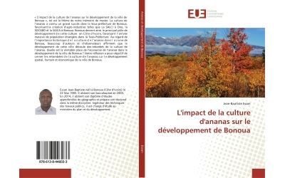 L'impact de la culture d'ananas sur le développement de Bonoua