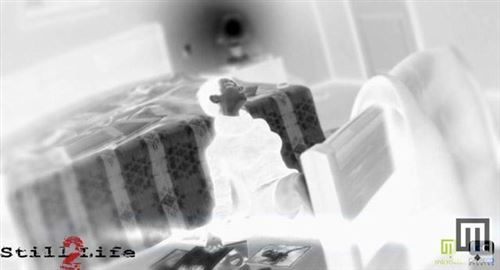 Dossier pédagogique de Still life #1, #2, #3 d'Alban Hajdinaj