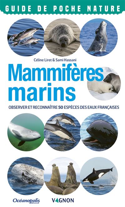 Mammiferes marins observer et reconnaitre 50 especes de notr