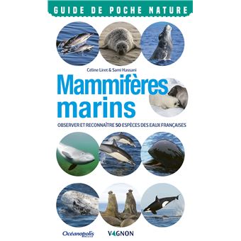 Mammifères marins. Observer et reconnaître 50 espèces des eaux françaises