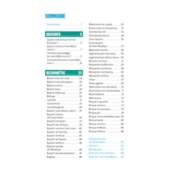 Mammifères marins. Observer et reconnaître 50 espèces des eaux françaises