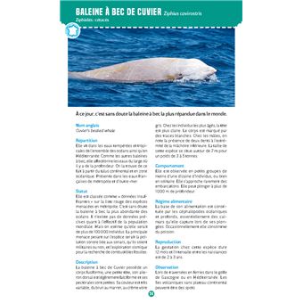 Mammifères marins. Observer et reconnaître 50 espèces des eaux françaises