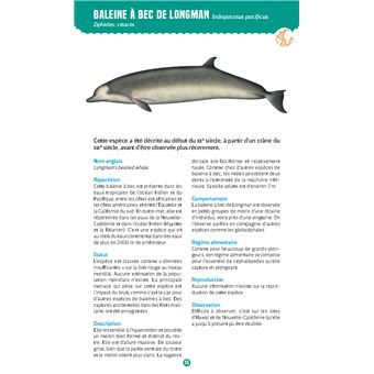 Mammifères marins. Observer et reconnaître 50 espèces des eaux françaises