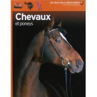 Chevaux et poneys