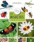 Les insectes