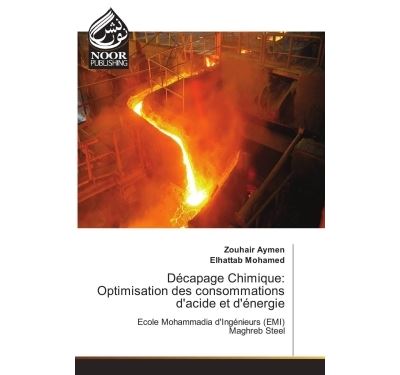 Decapage chimique: optimisation des consommations d'acide et