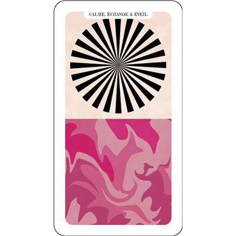 Post-partum - Les premiers mois de la vie du bébé - 100 cartes pour survive à ce tsunami physique e