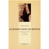 Le roman dans les ronces