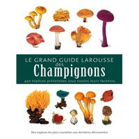 Guide des 60 meilleurs champignons comestibles