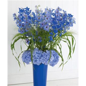 Fleurs & compositions florales