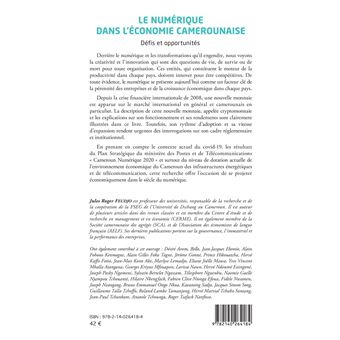 Le numérique dans l'économie camerounaise