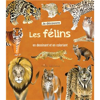 Je découvre les félins en dessinant et en coloriant