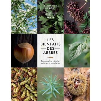 Les bienfaits des arbres