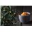Les bienfaits des arbres_3