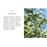 Les bienfaits des arbres_4