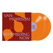 Remembering Now Vinyle Orange