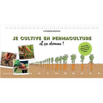 Je cultive en permaculture et ça donne !