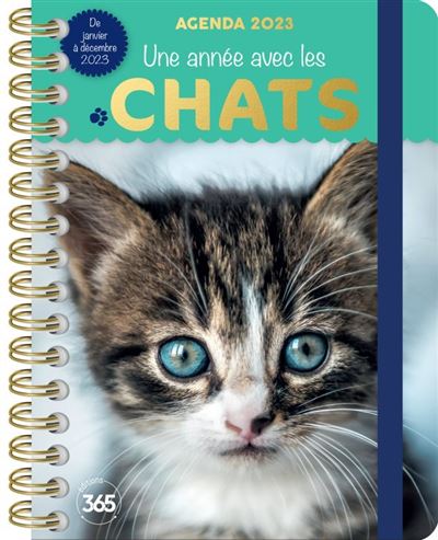 Agenda 2023 - Une année avec les chats, 1 an de belles photos de chats -  Collectif - broché