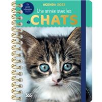 Calendrier mural chats et chatons 2023 - Collectif - Librairie Eyrolles