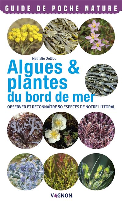 Algues et plantes observer et reconnaitre 50 especes de notr