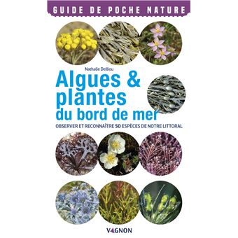 Algues & plantes du bord de mer. Observer et reconnaître 50 espèces de notre littoral