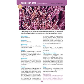 Algues & plantes du bord de mer. Observer et reconnaître 50 espèces de notre littoral