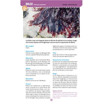 Algues & plantes du bord de mer. Observer et reconnaître 50 espèces de notre littoral