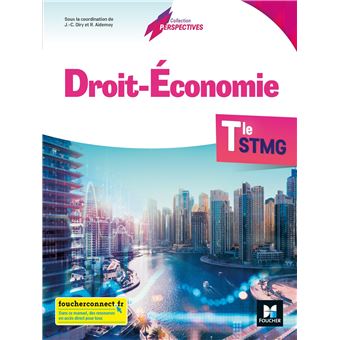 Perspectives droit-economie tle stmg