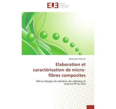 Elaboration et caractérisation de micro-fibres composites