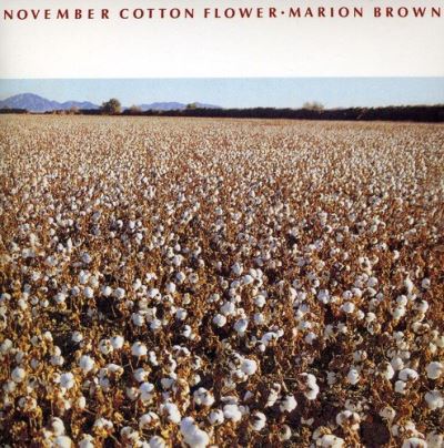 November botton flower/ed limitee