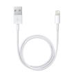 Câble Lightning blanc Apple chargeur iPhone 0,5m