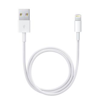 Câble Lightning blanc Apple chargeur iPhone 0,5m - Câbles USB