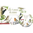 Les 4 saisons des oiseaux