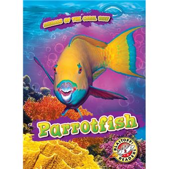 Parrotfish - 1