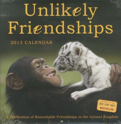 Unlikely friendships 2013 calendar