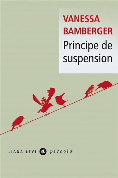 Principe de suspension - Vanessa Bamberger - Liana levi - Poche - Roman