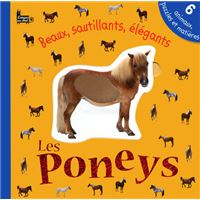 Bx sautillants elegants poneys