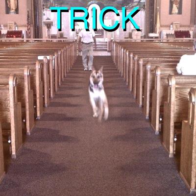 Trick - Inclus CD