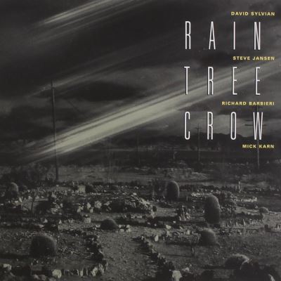 Raintree Crow