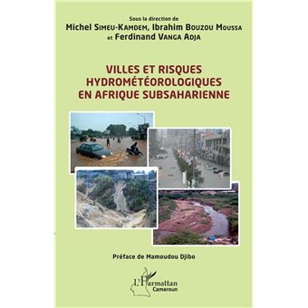 Villes et risques hydrométéorologiques en Afrique subsaharienne