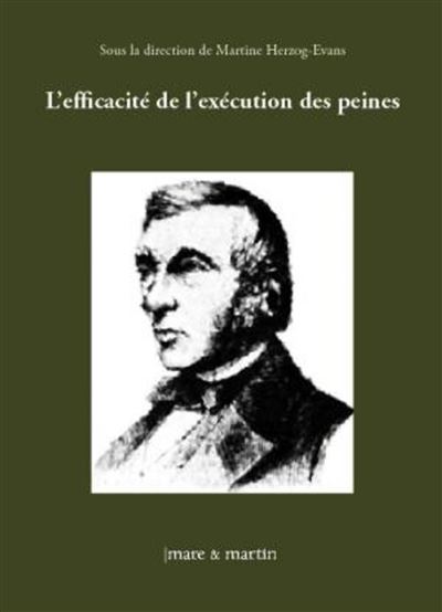 L'efficacité de l'exécution des peines -  Collectif - broché