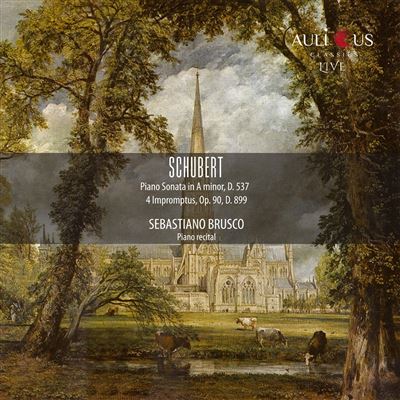 Schubert : Sonate pour piano D 537 - Impromptus Opus 90 D 899 