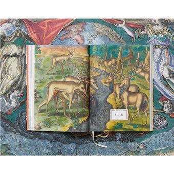 Theodore de Bry. America