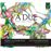A Due Sonate A Violino E Violone - CD
