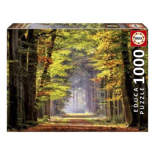 1000 PROMENADE AUTOMNALE/HERFSYWANDELING