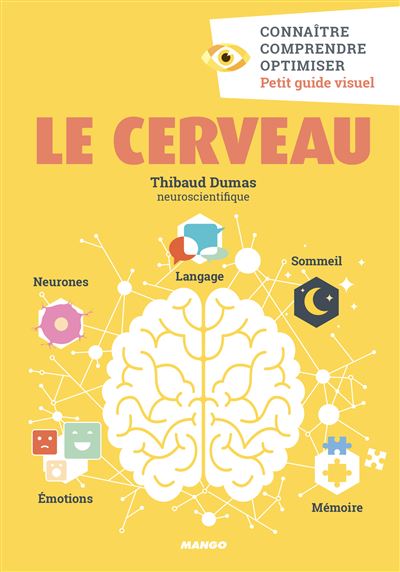 Petit guide visuel du cerveau