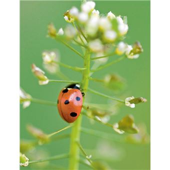 Le guide pratique du biocontrôle au jardin. Soigner maladies et parasites sans pesticides