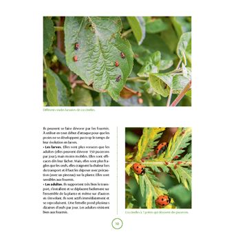 Le guide pratique du biocontrôle au jardin. Soigner maladies et parasites sans pesticides
