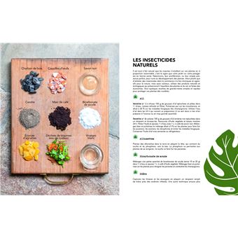 Du végétal dans ma maison pour zéro euro